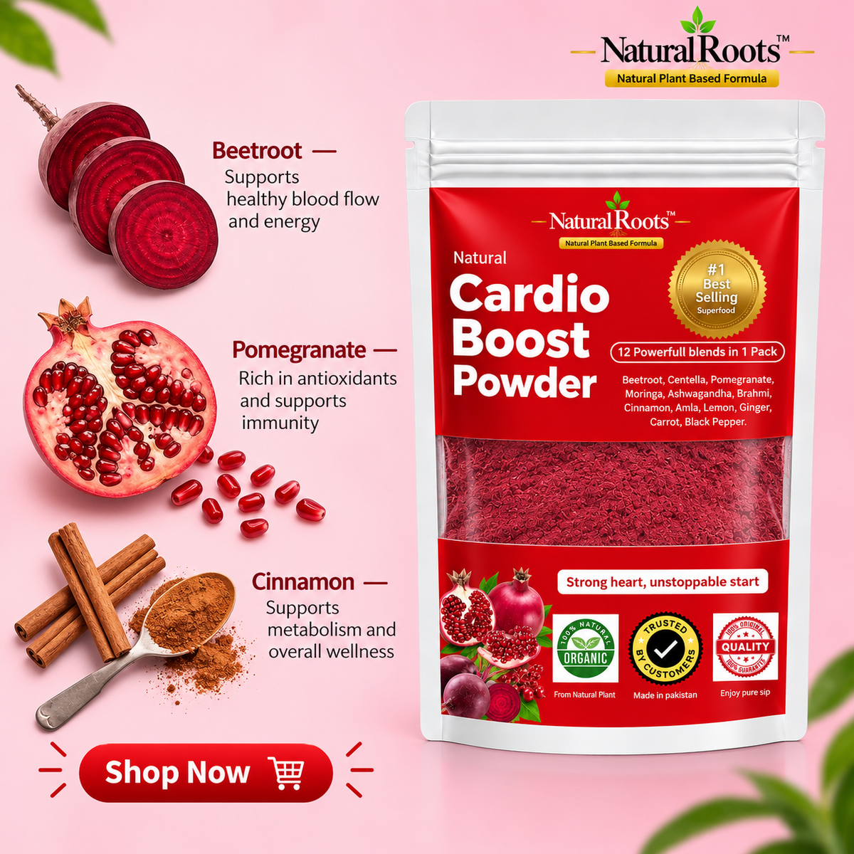 (Buy 1 Get 1 Free) Morniga Powder+Cardio Vitality Super Blend